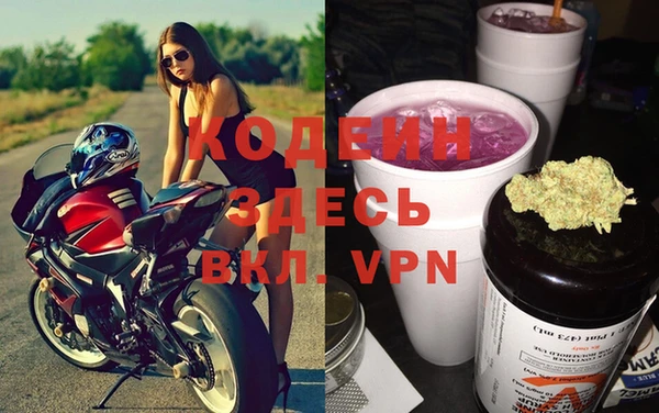 индика Богородск
