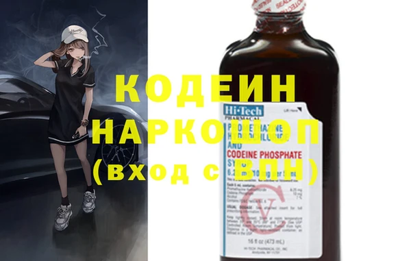 индика Богородск
