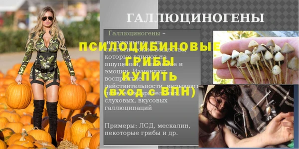 индика Богородск