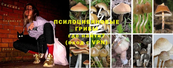 индика Богородск
