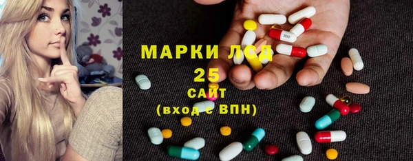 индика Богородск