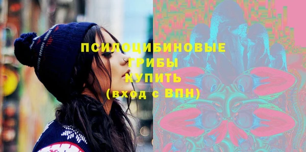 индика Богородск