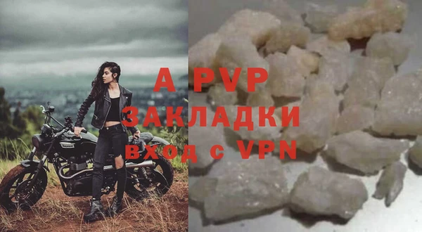 индика Богородск