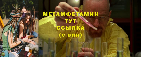 индика Богородск